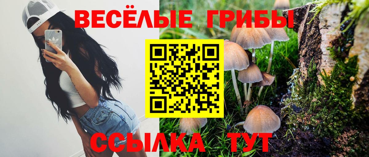 Псилоцибиновые грибы Magic Shrooms Усть-Илимск
